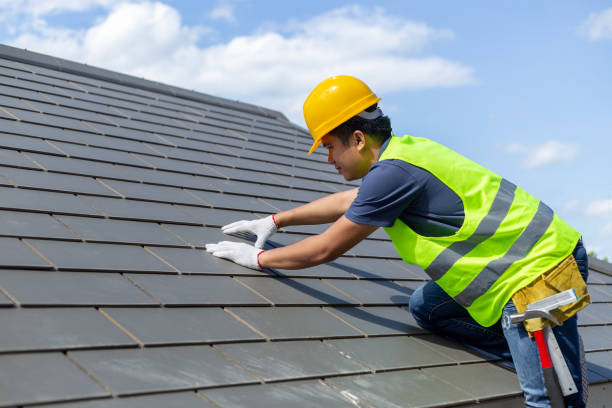 Roof Insulation in Mcewen, TN